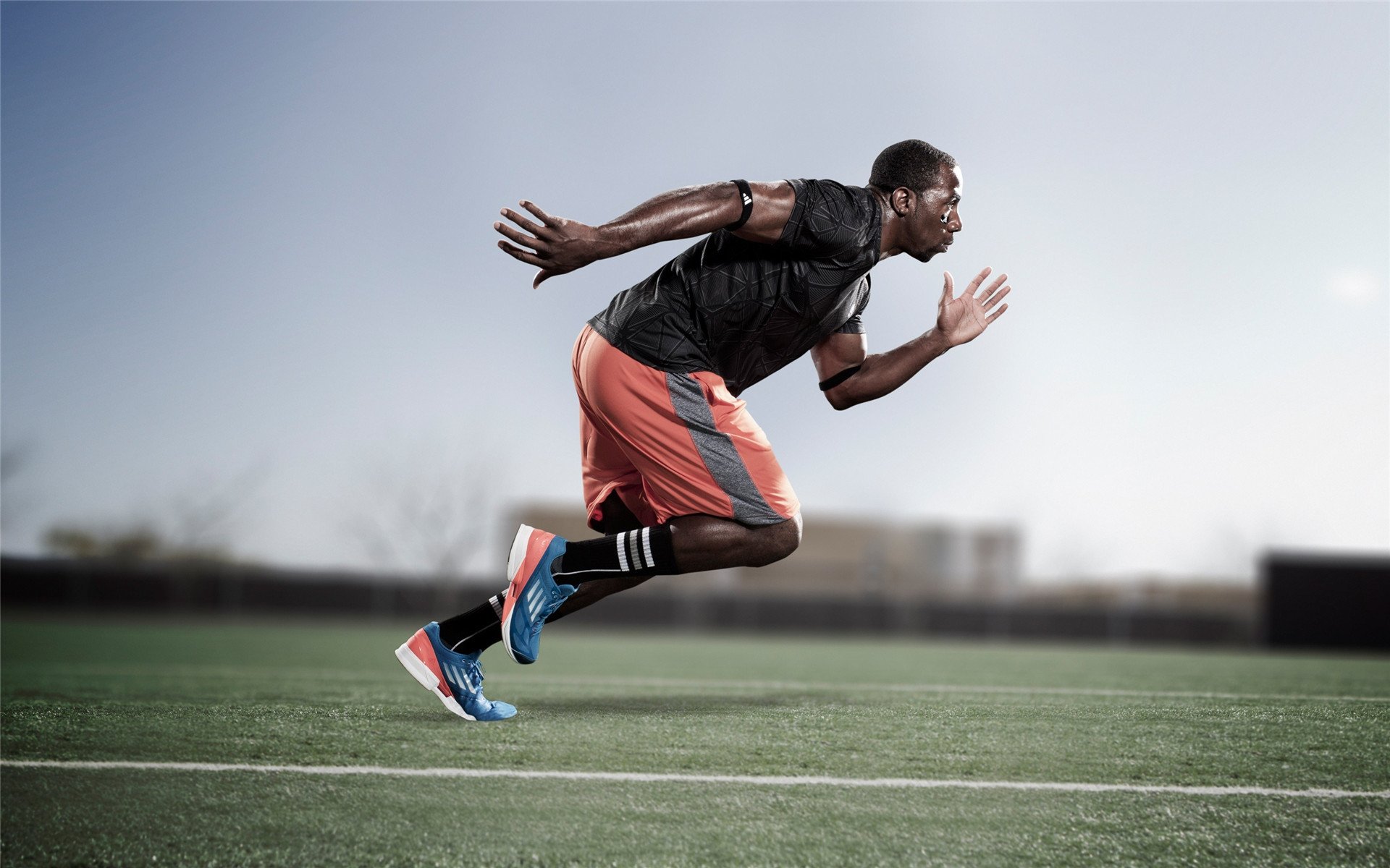 澳大利亚男子橄榄球赛事吸引国际观众，澳大利亚英式橄榄球联赛