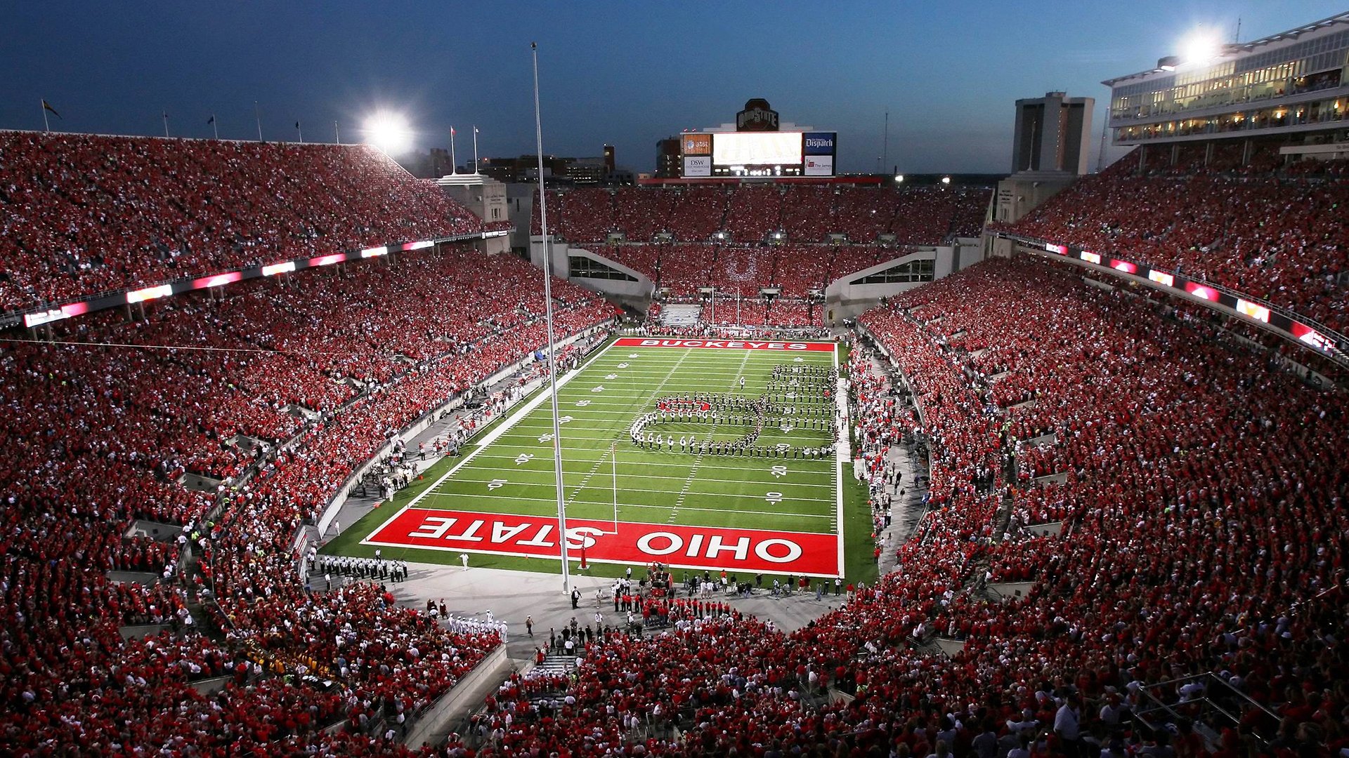 赛事志愿者跨区域交流分享服务经验与感悟，大型赛事志愿者服务方案