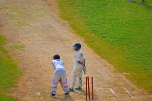 CBA是否推动球员选拔机制透明公平化，cba选择