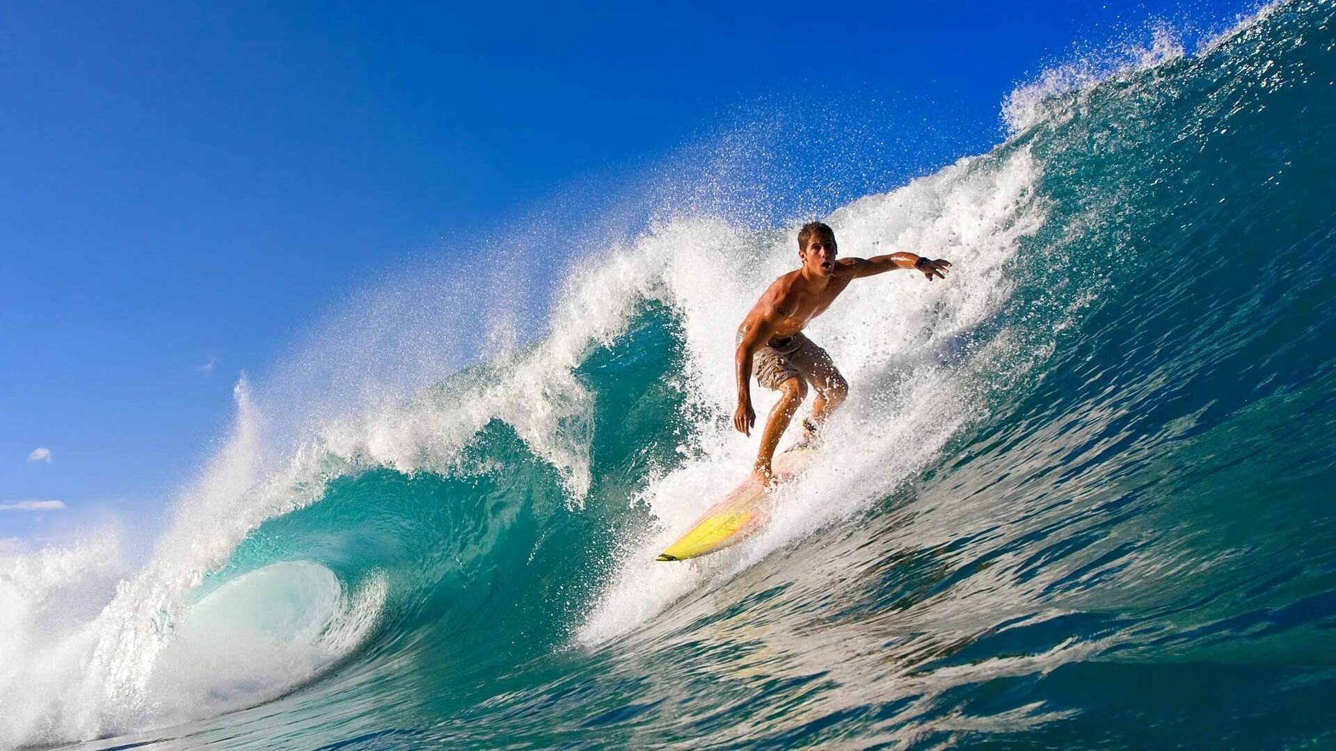 他不是最快的，却是最让速度型选手绝望的那一个——背后的隐秘策略与绝对耐力